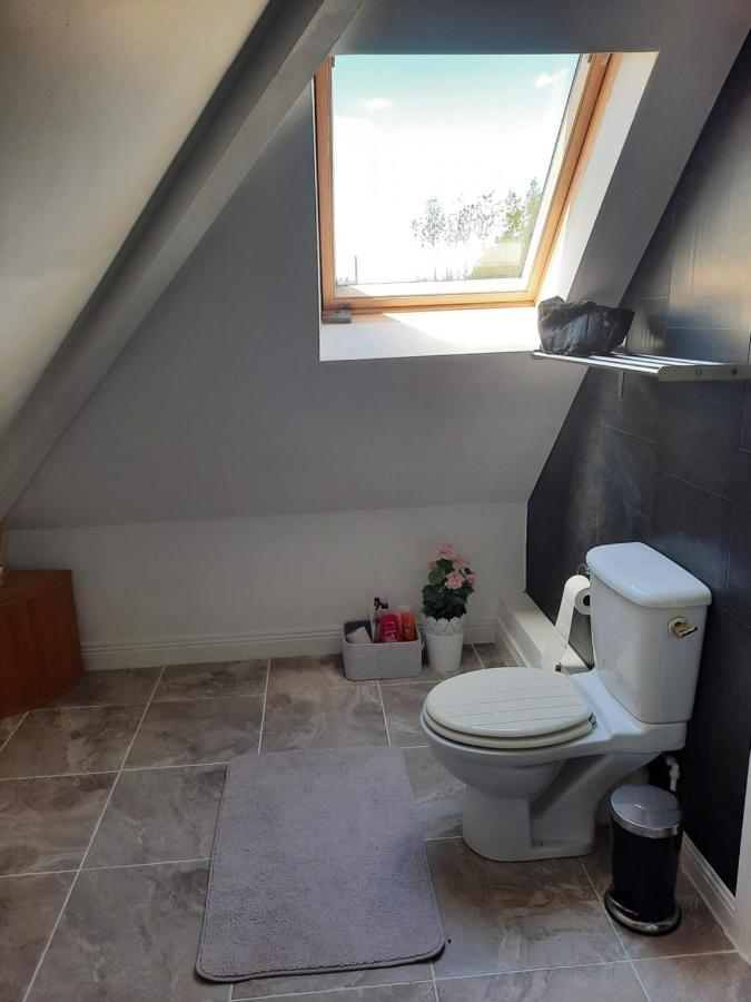 Killenard Self Catering Accommodation Екстериор снимка